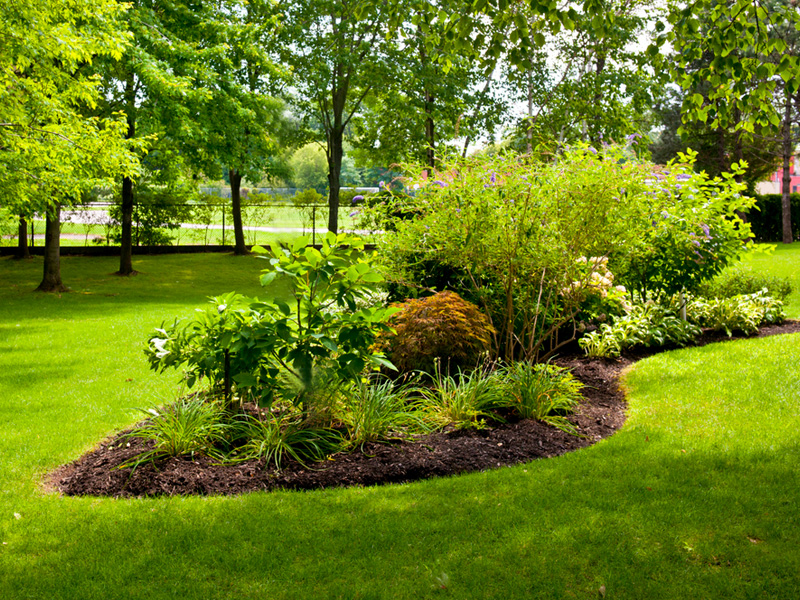 Aménagement de jardin
